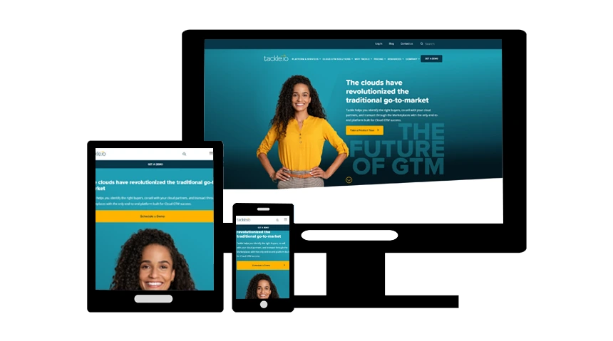 wordpress website development for startup business